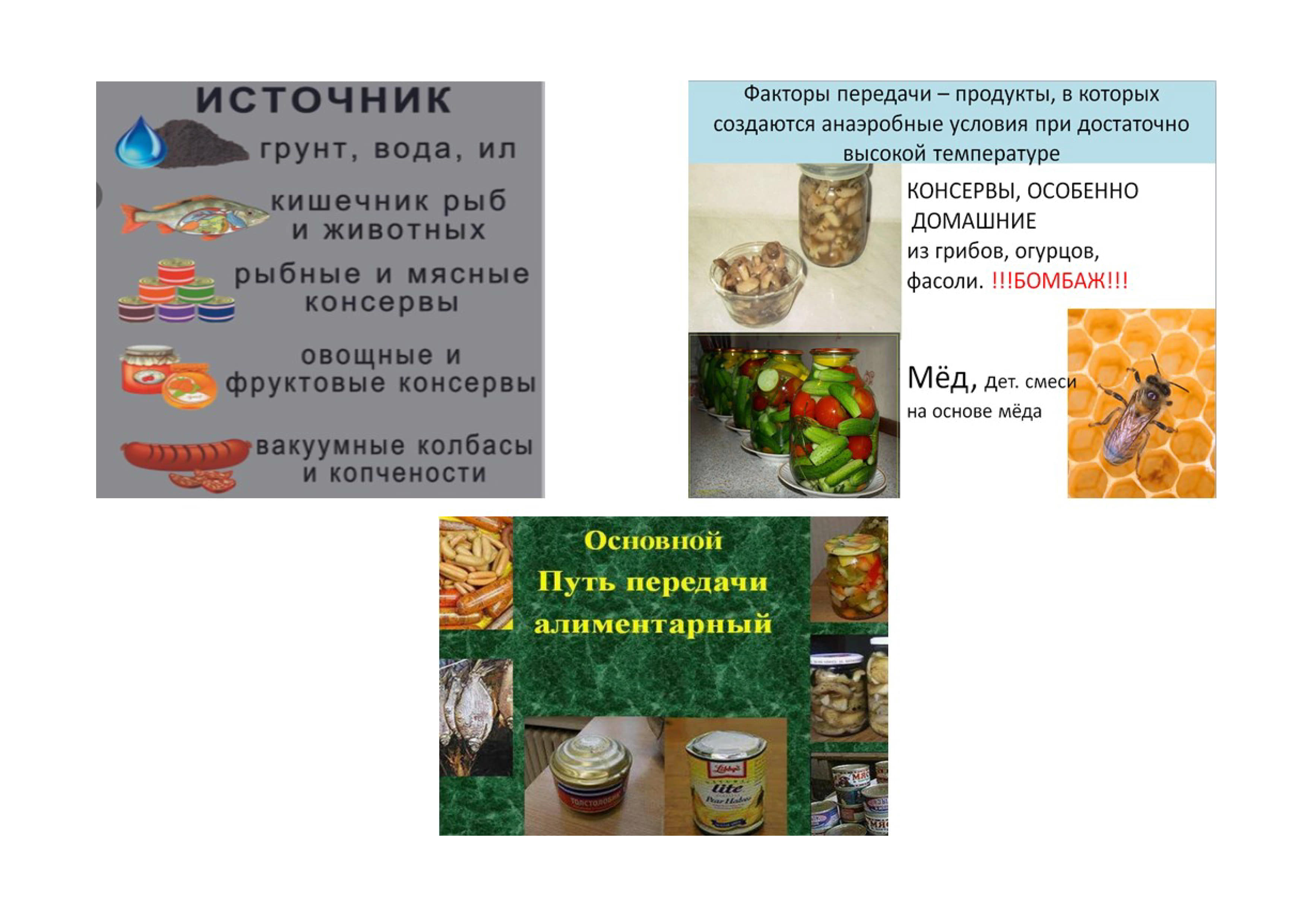 botul0125_4.jpg